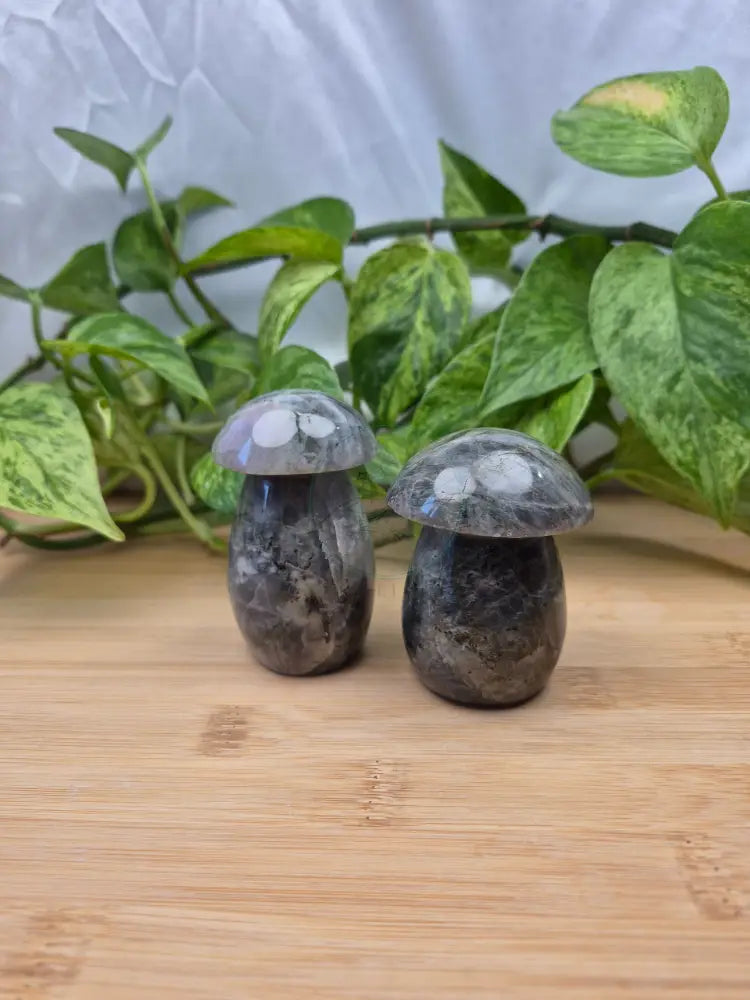 LABRADORITE MUSHROOM