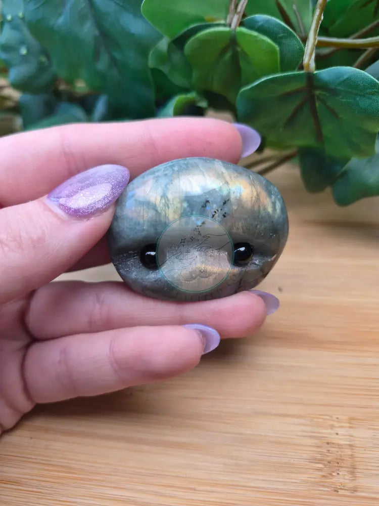 LABRADORITE STONE FRIEND