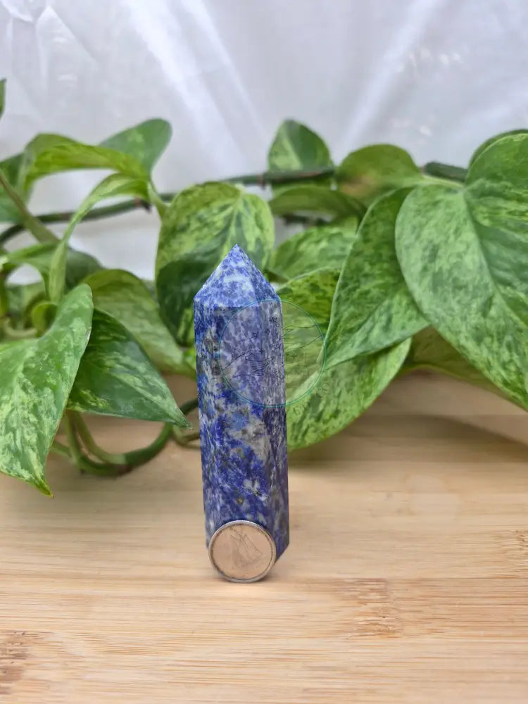 LAPIS TOWER