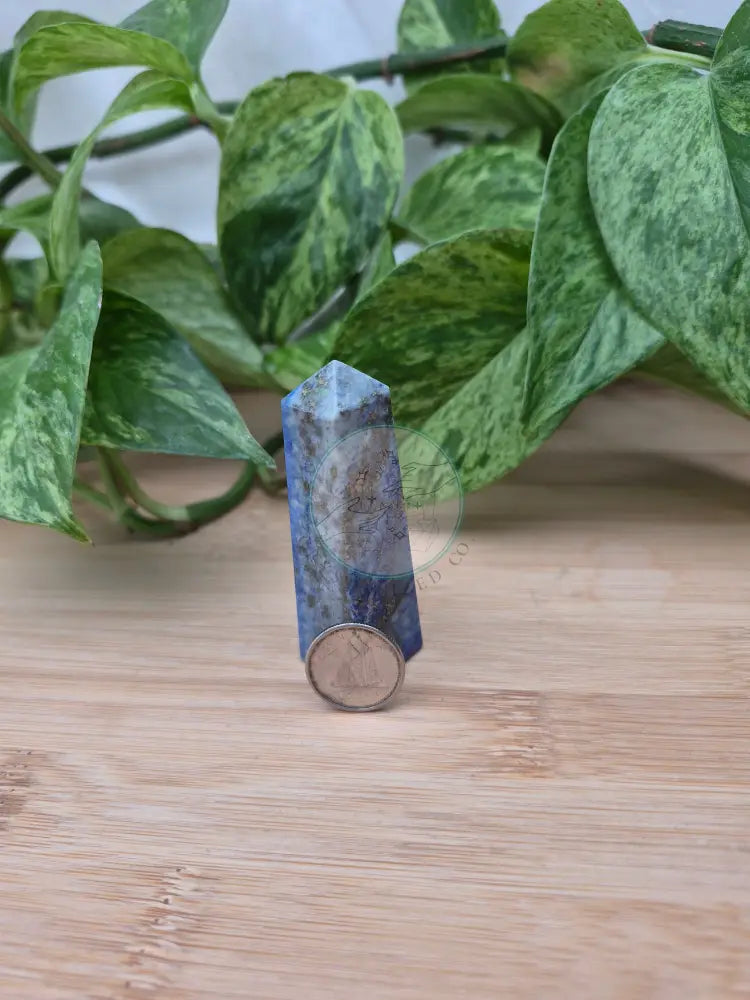 LAPIS TOWER