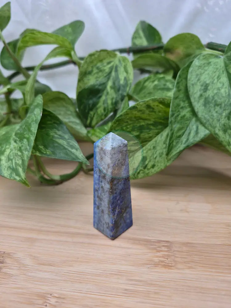 LAPIS TOWER