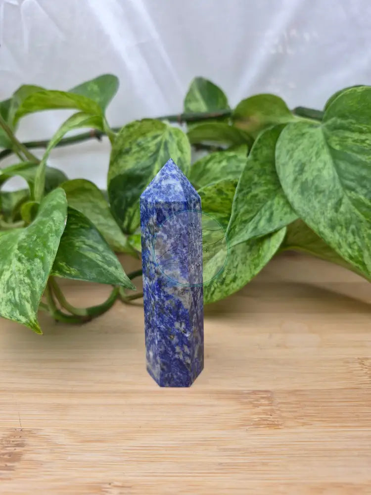 LAPIS TOWER