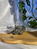 LARVAKITE RHINO - CARVING