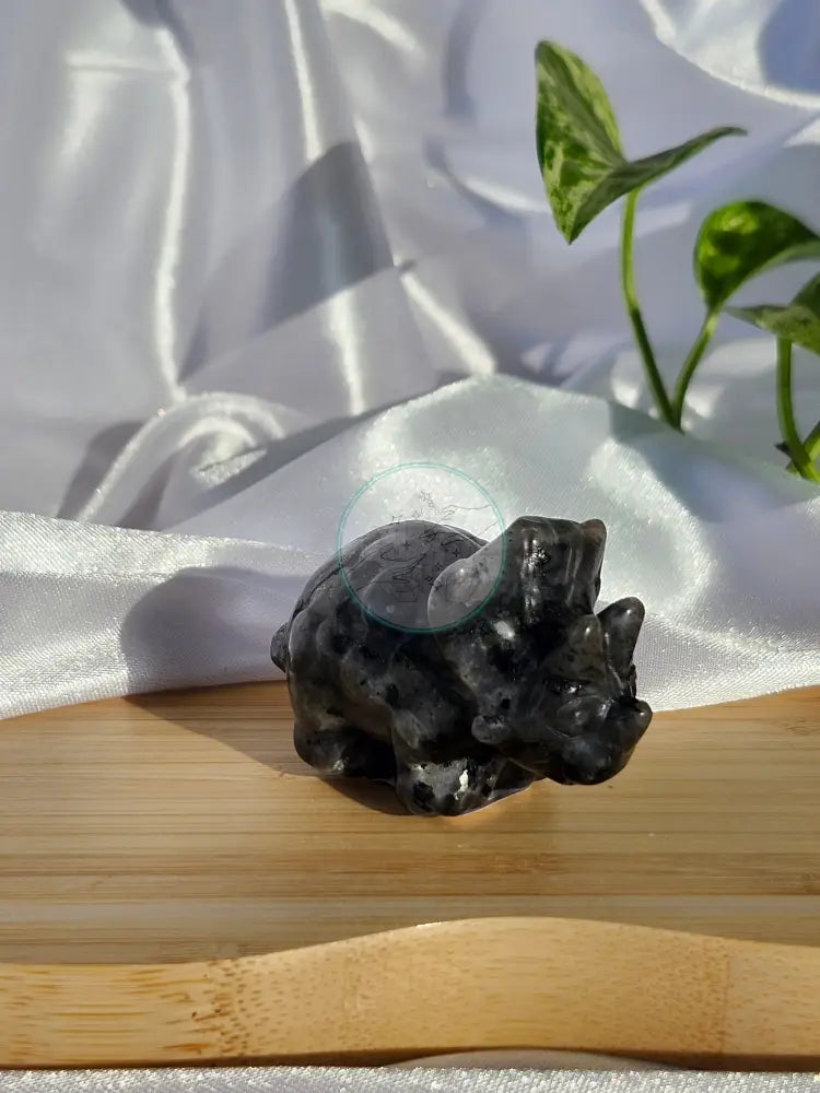 LARVAKITE TRICERATOPS - CARVING