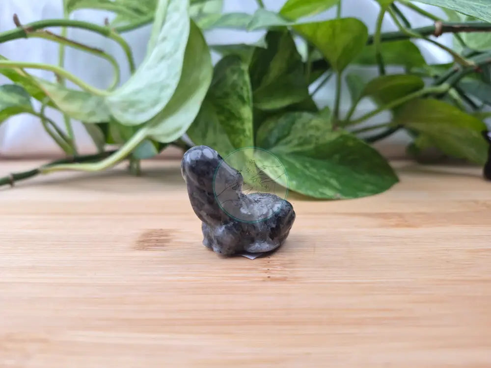 LARVIKITE DICK-A-TOAD
