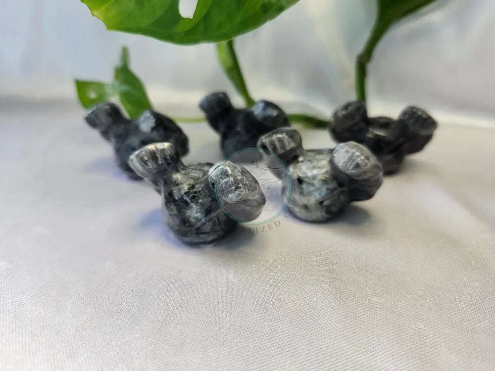 LARVIKITE GEODUDE