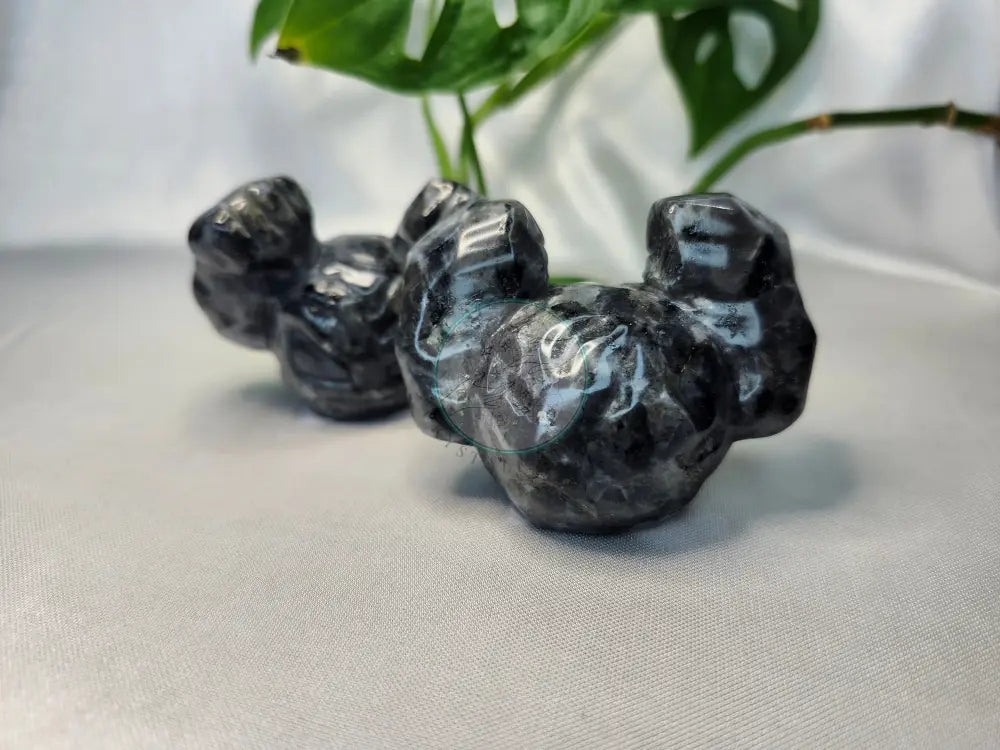 LARVIKITE GEODUDE OPTION 2