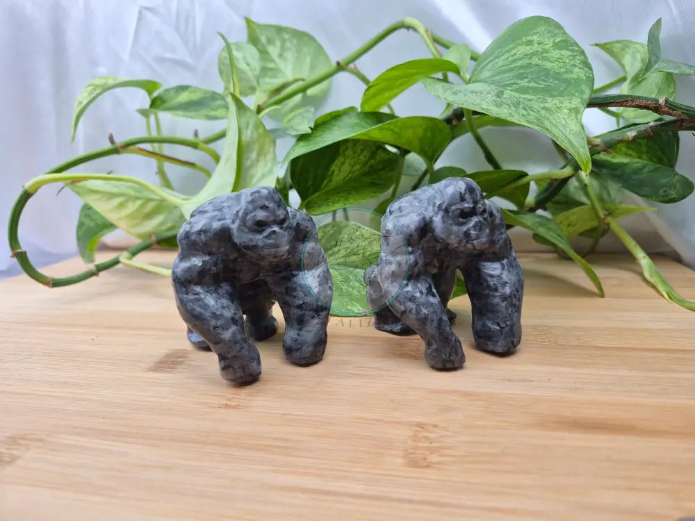 LARVIKITE GORILLA