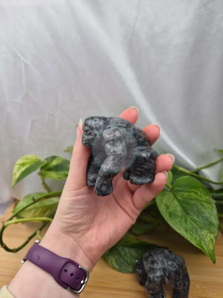 LARVIKITE GORILLA