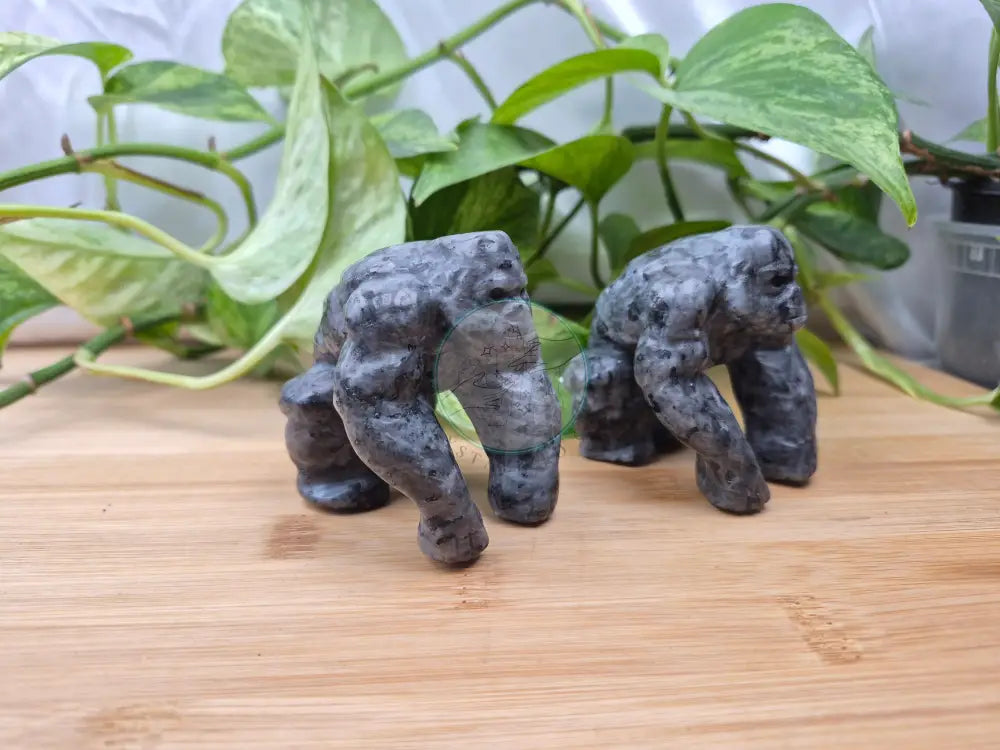LARVIKITE GORILLA