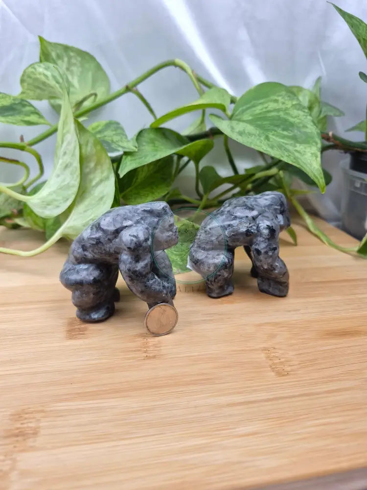 LARVIKITE GORILLA