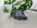 LARVIKITE RYHORN