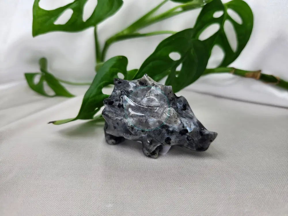 LARVIKITE RYHORN