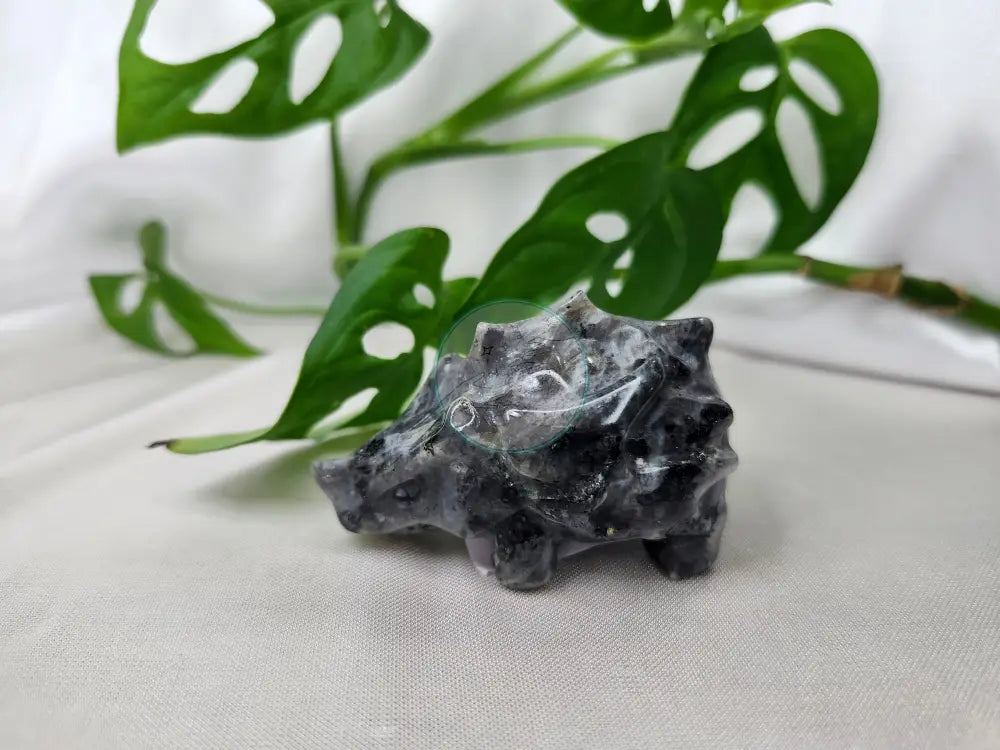 LARVIKITE RYHORN