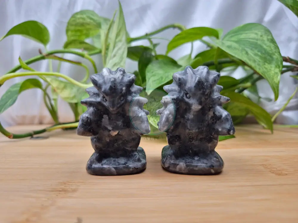 LARVIKITE SANDSLASH