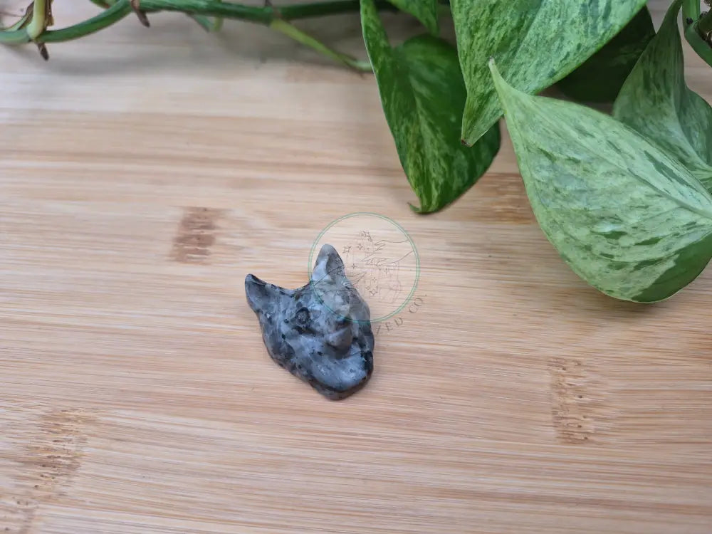 LARVIKITE WOLF HEAD