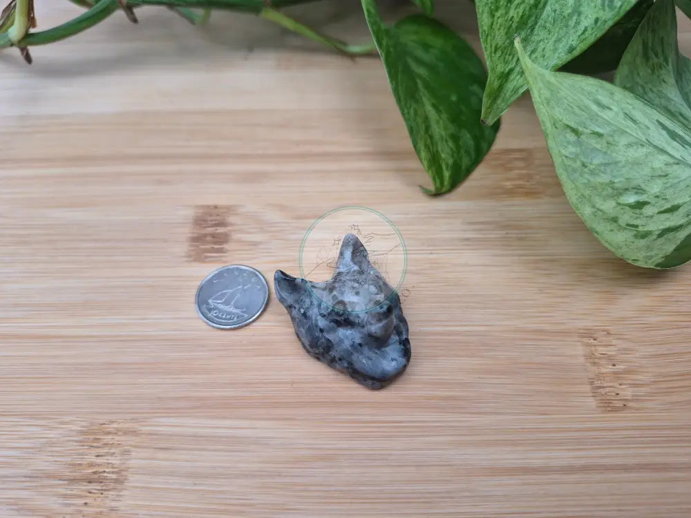 LARVIKITE WOLF HEAD