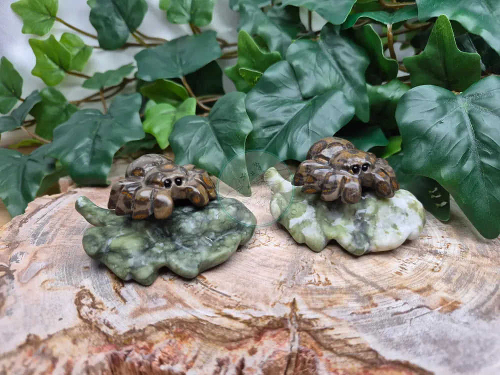 LEOPARDITE AND JADE SPIDER
