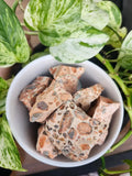 LEOPARDITE JASPER ROUGH STONE - ROUGH STONE