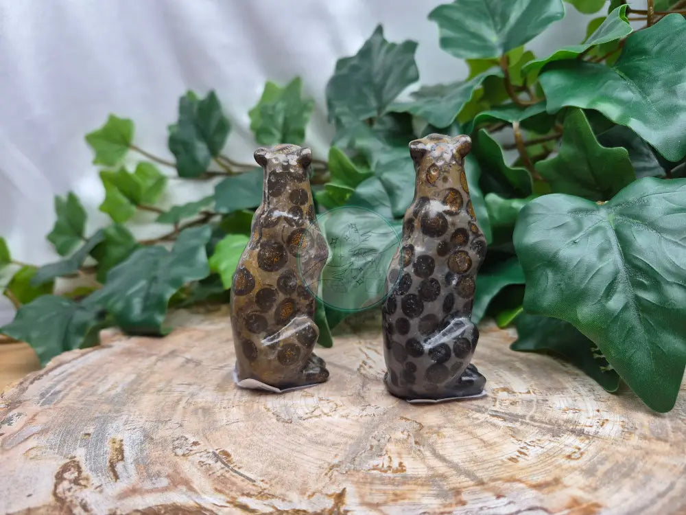 LEOPARDITE LEOPARD