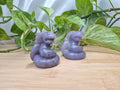 LEPIDOLITE EKANS LG