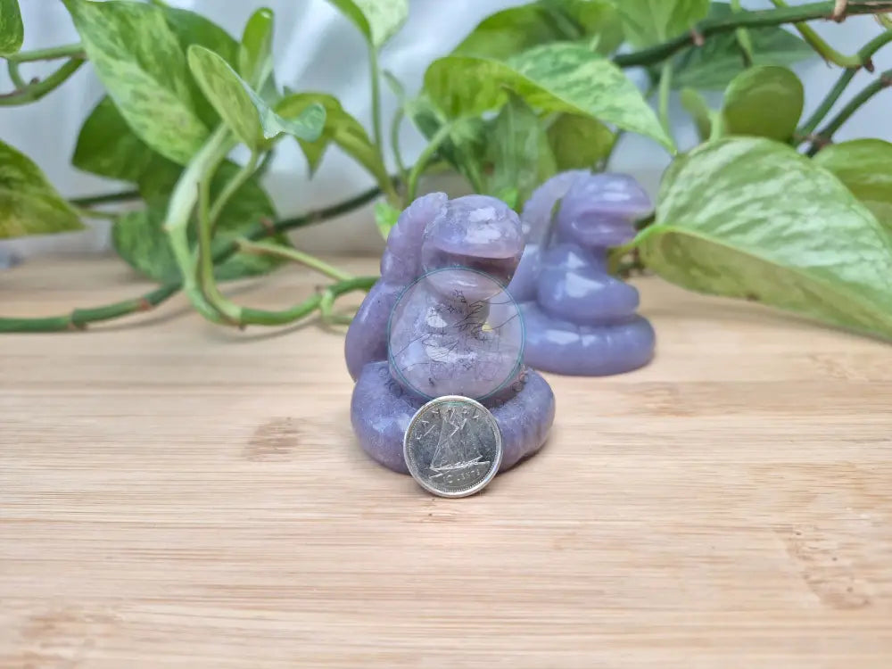 LEPIDOLITE EKANS LG