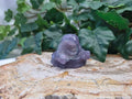 LEPIDOLITE GRIMER
