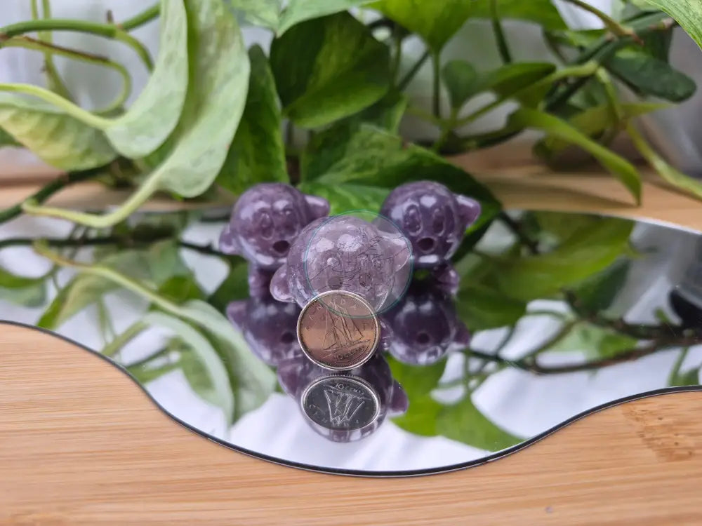 LEPIDOLITE KIRBY