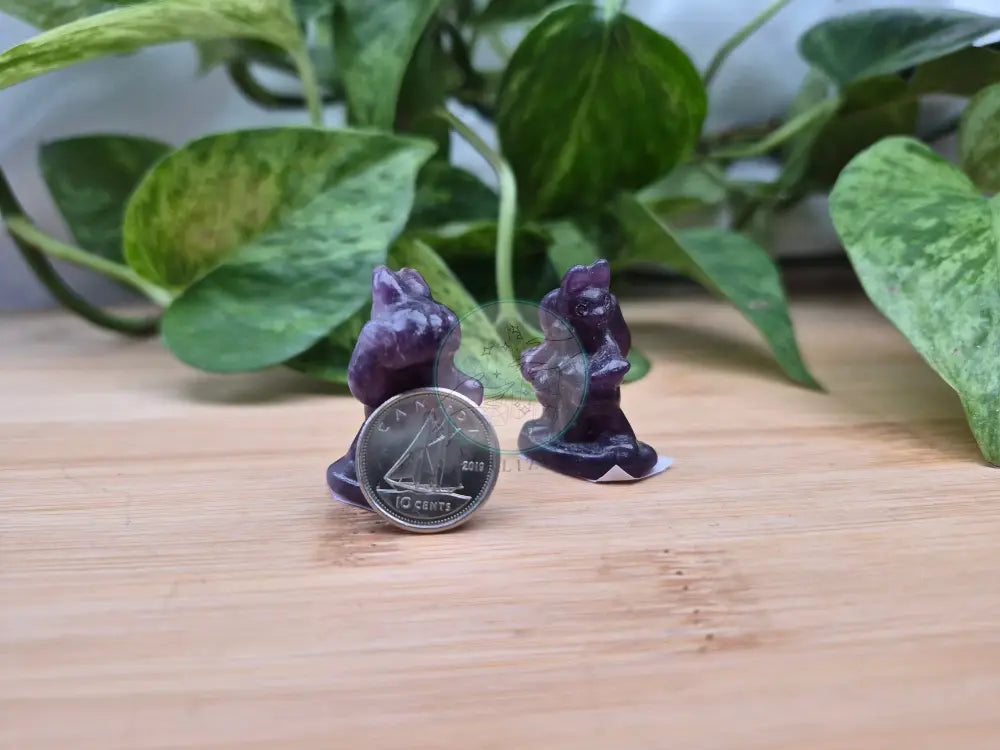 LEPIDOLITE LUCARIO