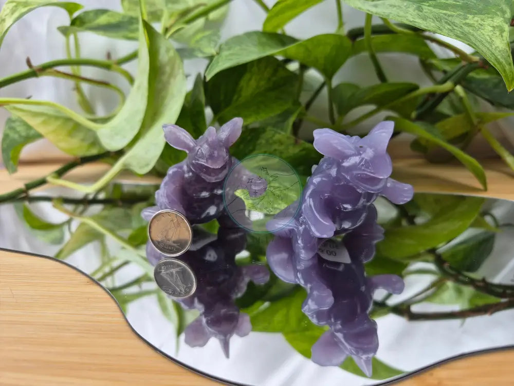 LEPIDOLITE NIDOKING