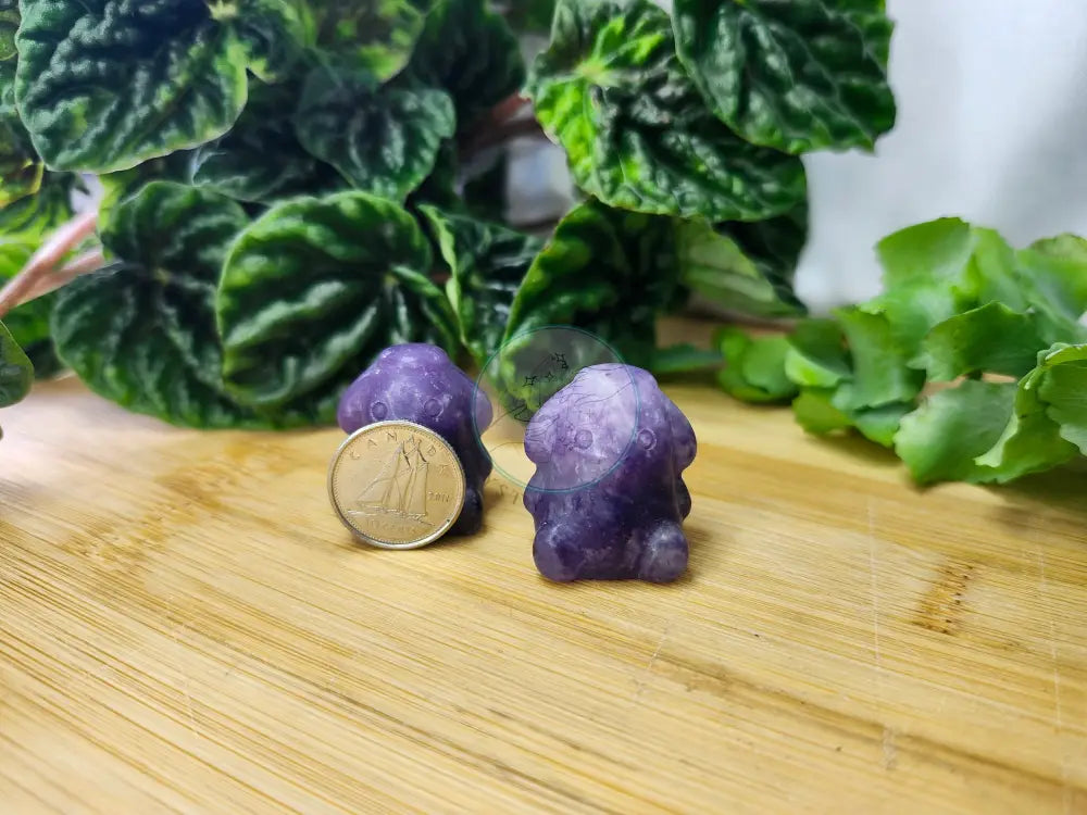 LEPIDOLITE POMPOM PURIN