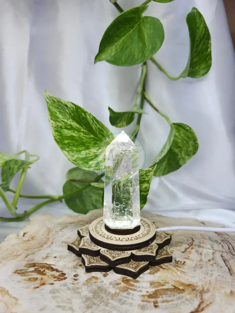 LIGHT BASE FLOWER - WHITE