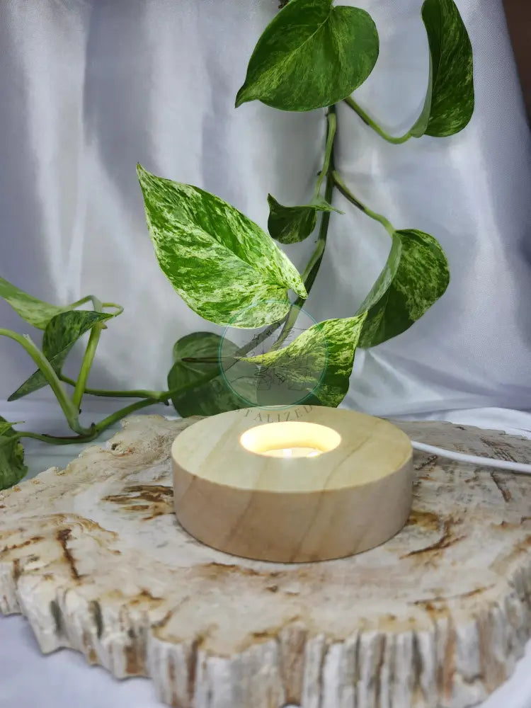 LIGHT BASE MED CIRCLE - WHITE