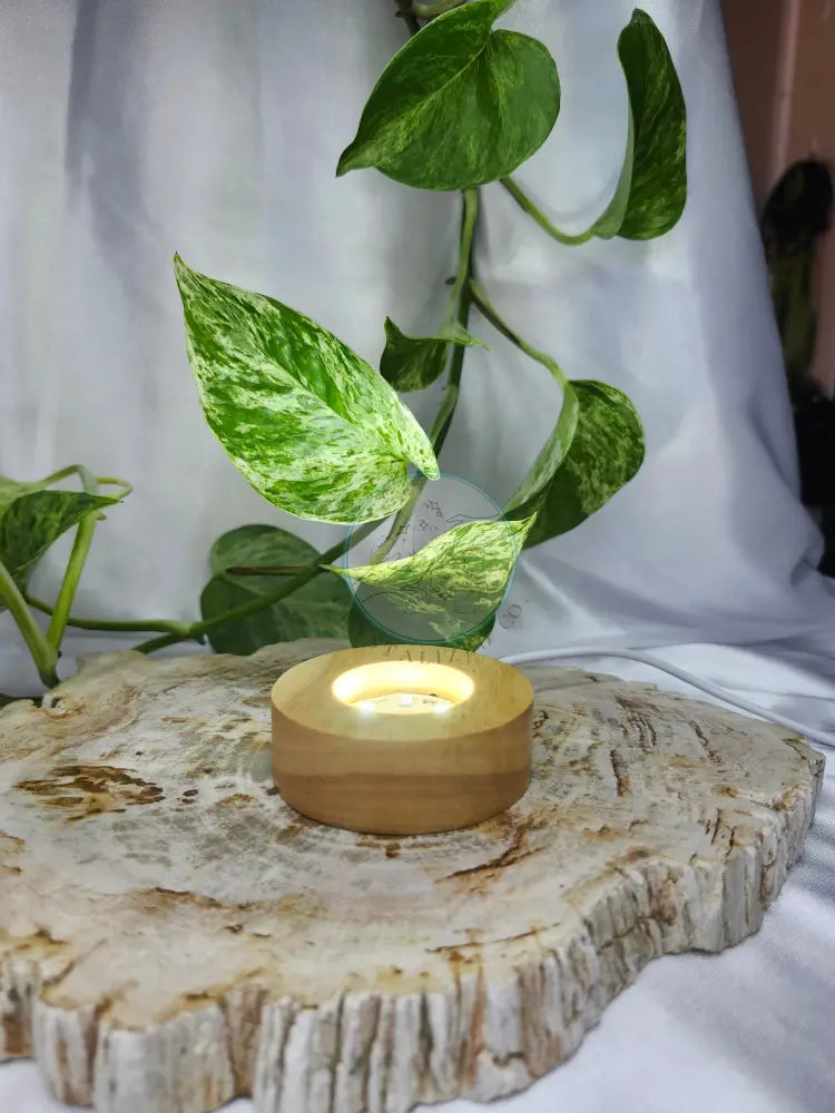 LIGHT BASE SMALL CIRCLE - WHITE