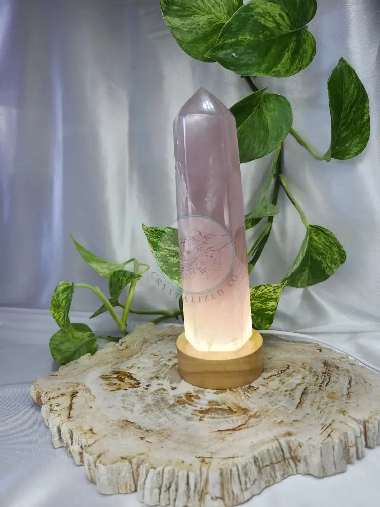 LIGHT BASE SMALL CIRCLE - WHITE