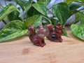 MAHOGANY OBSIDIAN FOX