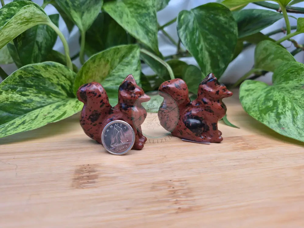 MAHOGANY OBSIDIAN FOX