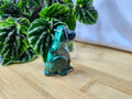 MALACHITE DOG