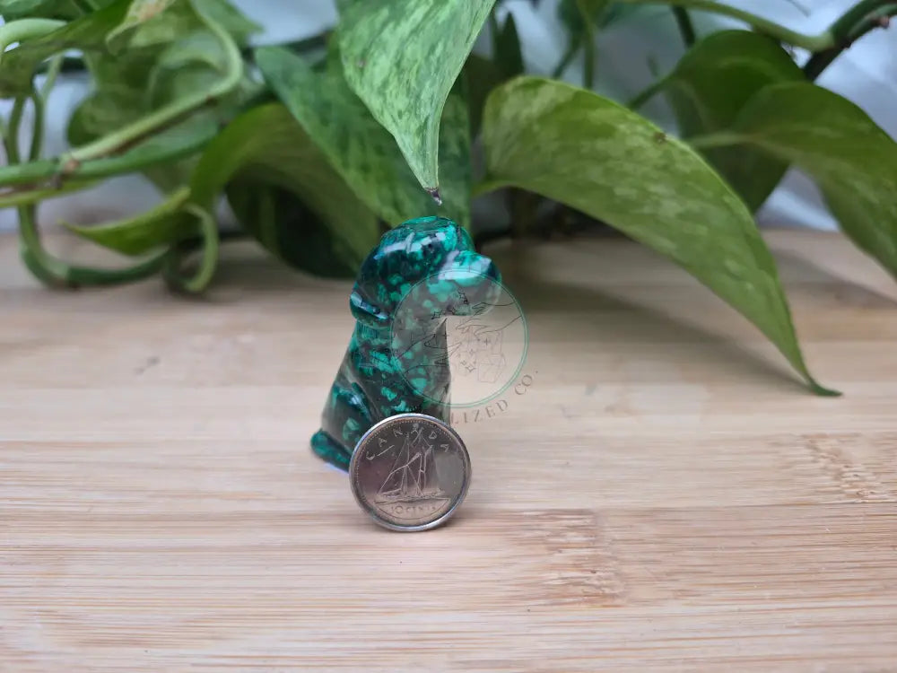 MALACHITE DOG