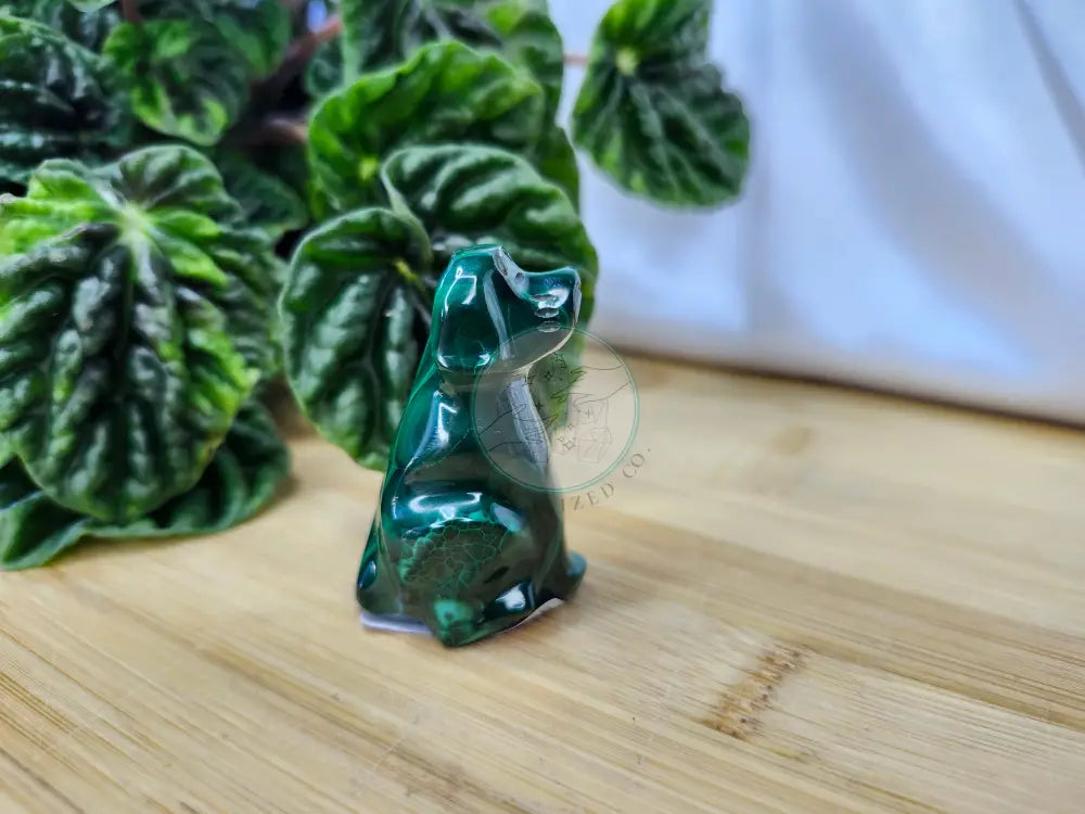 MALACHITE DOG