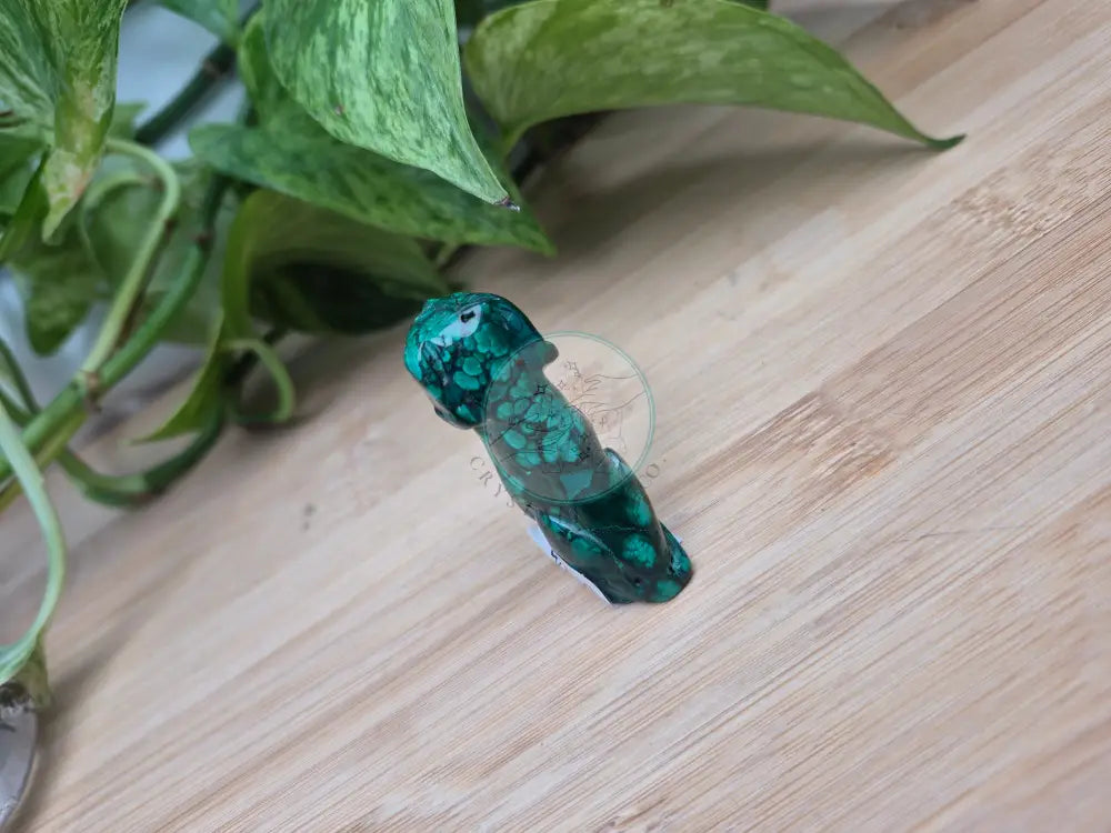MALACHITE DOG