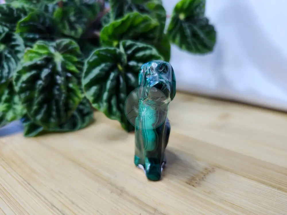 MALACHITE DOG