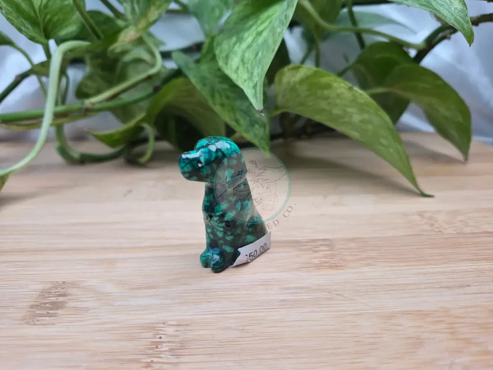 MALACHITE DOG