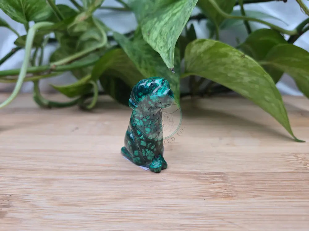 MALACHITE DOG