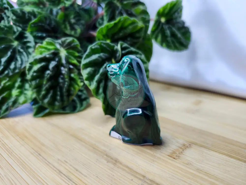 MALACHITE DOG