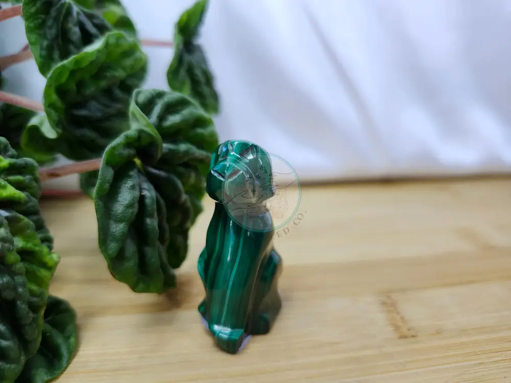 MALACHITE DOG