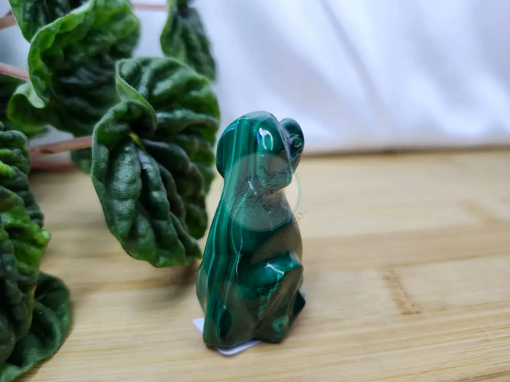 MALACHITE DOG