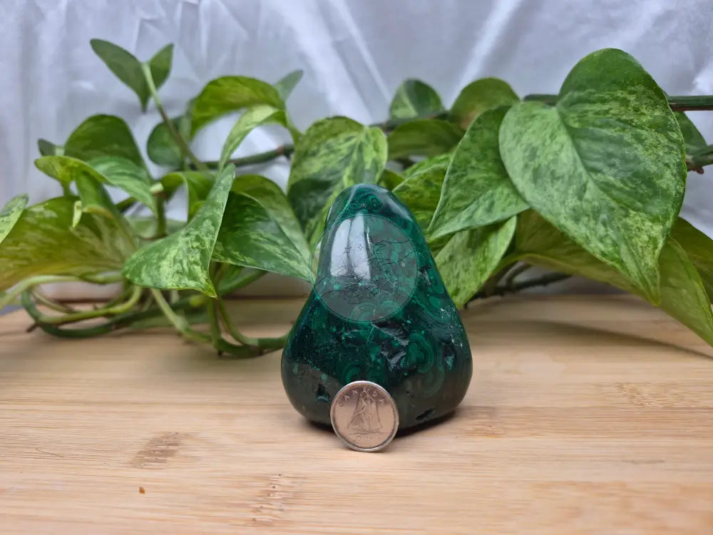 MALACHITE FREEFORM