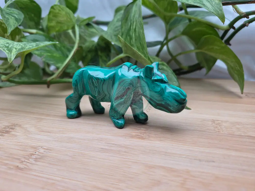 MALACHITE HIPPO