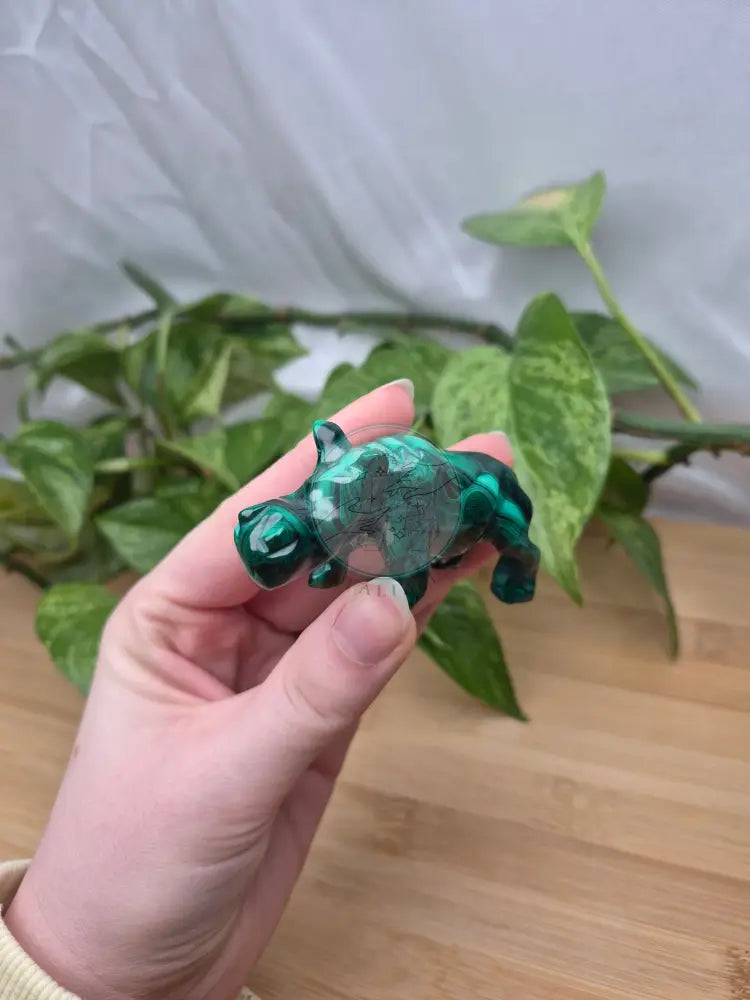 MALACHITE HIPPO